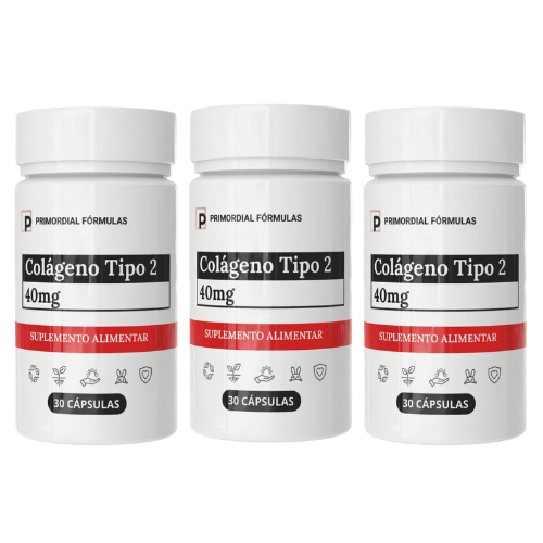 Colágeno Tipo 2 40mg Com 30 Cápsulas