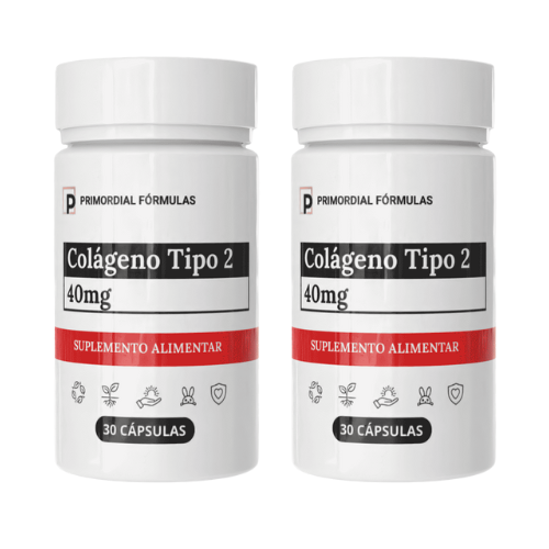 Colágeno Tipo 2 40mg Com 30 Cápsulas
