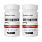 Colágeno Tipo 2 40mg Com 30 Cápsulas
