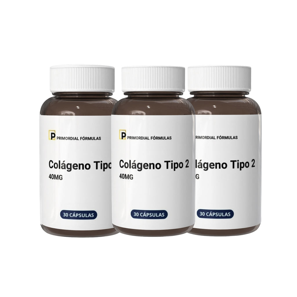 Colágeno Tipo 2 40mg Com 30 Cápsulas